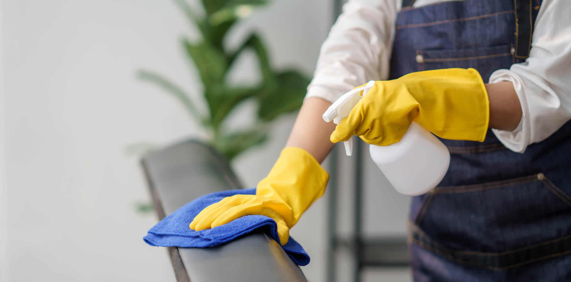Move In Out Cleaning